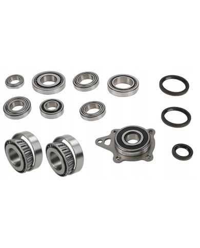 Zestaw łożysk skrzyni biegów VW Crafter RHE RUW TWP RHG TWX