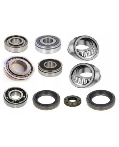 Łożyska kpl skrzynia biegów Fiat skrzynie 6 biegów