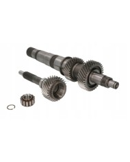 Wałek sprzęgłowy + atakujący skrzyni MT82 FORD 60770