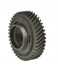 12836 KOŁO ZĘBATE 2 Biegu 41 zębów 9804261380