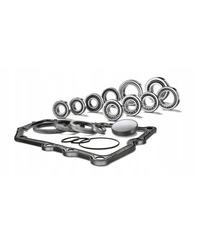 Zestaw Naprawczy skrzynia DSG 7 biegowe grupa VW