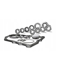 Zestaw Naprawczy skrzynia DSG 7 biegowe grupa VW