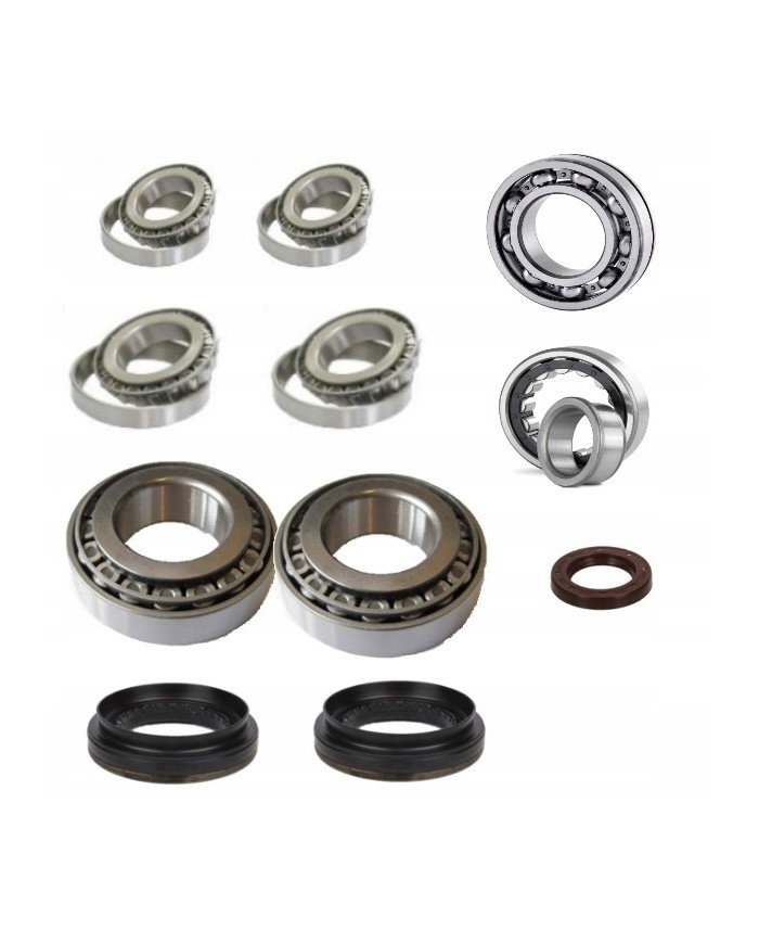 Zestaw łożysk skrzyni Mercedes 716.640 W169 W245