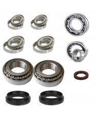 Zestaw łożysk skrzyni Mercedes 716.640 W169 W245