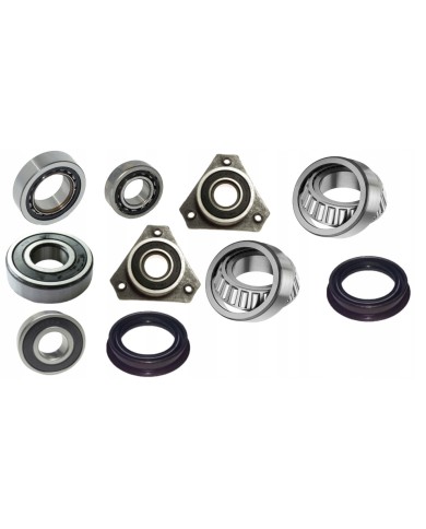 Komplet łożysk skrzyni B6 Ford C-Max,Focus  Volvo