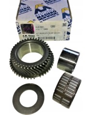 Koło lift 6 ty + łożysko + podkładka M40 40 zębów 12880